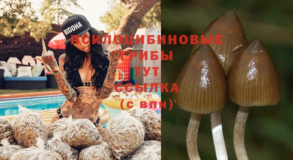 синтетический гашиш Лихославль